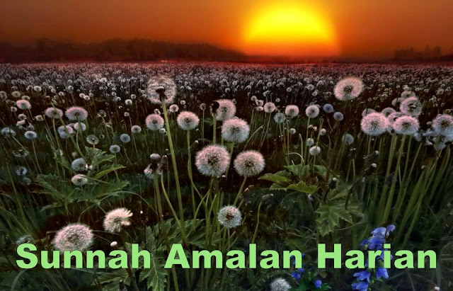 Amalkan 7 Sunnah Hebat Ini Setiap Hari