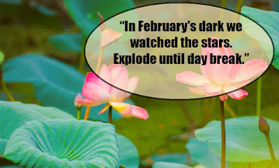 February quotes - quotes about february - quotes for february