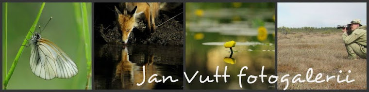 Jan Vutt fotogalerii
