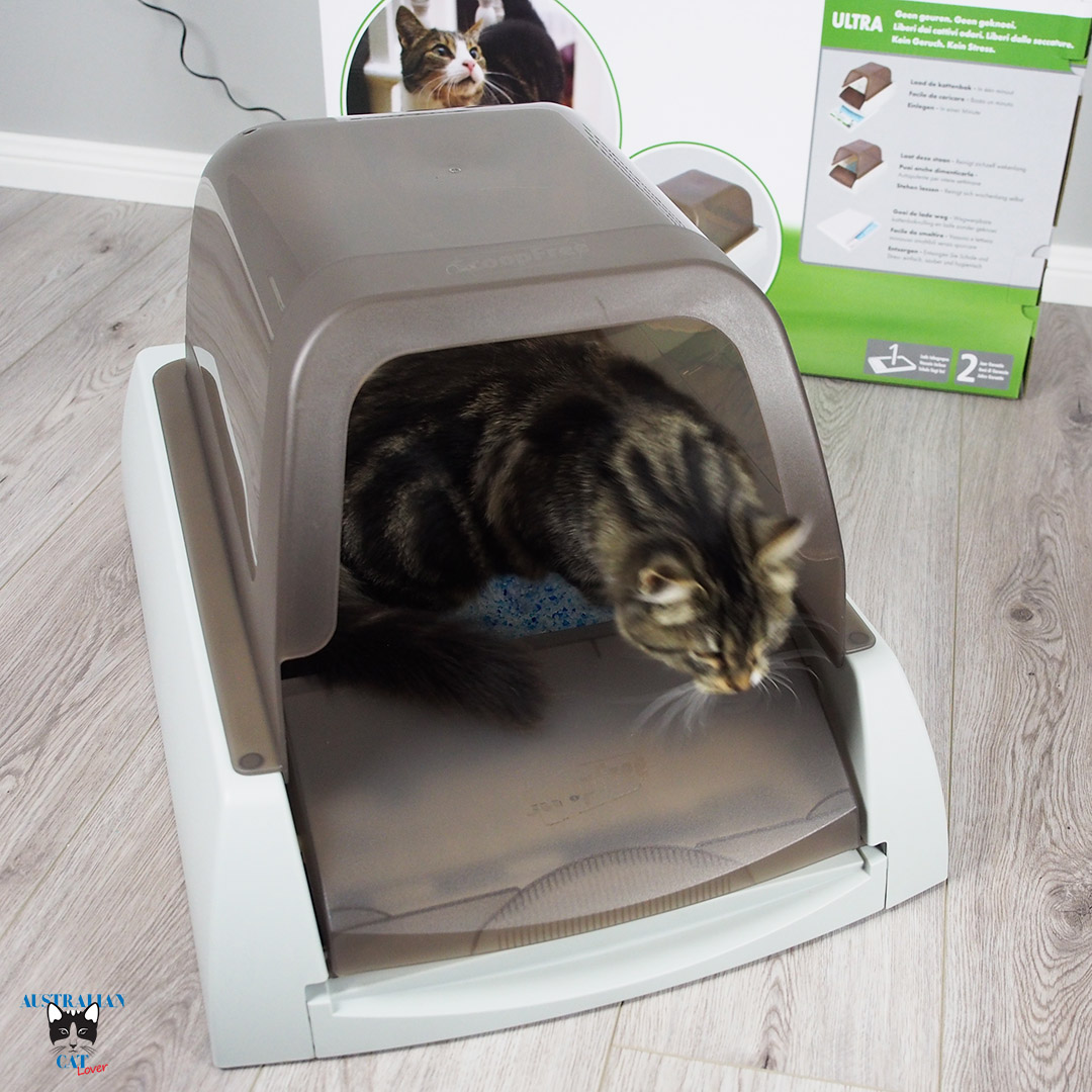 ScoopFree® Ultra SelfCleaning Litter Box Review Australian Cat Lover