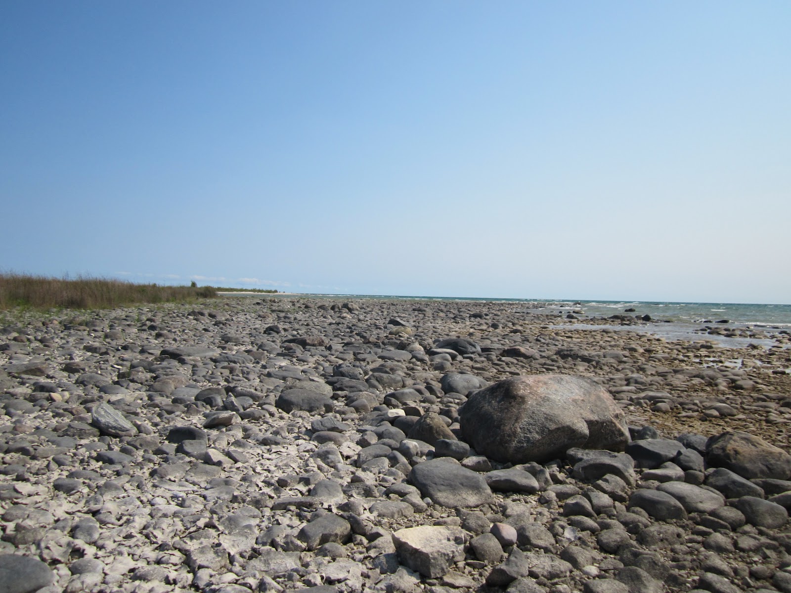 Tom Cook's Nature Travels Hiking and Biking Bois Blanc Island