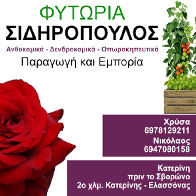 Γιάννης Καραγιαννίδης, 2ος Πανελλαδικά, 1ος στην Πιερία ΣΜΑ Μηχανικών Αεροσκαφών Γιάννης Καραγιαννίδης, 2ος Πανελλαδικά, 1ος στην Πιερία ΣΜΑ Μηχανικών Αεροσκαφών