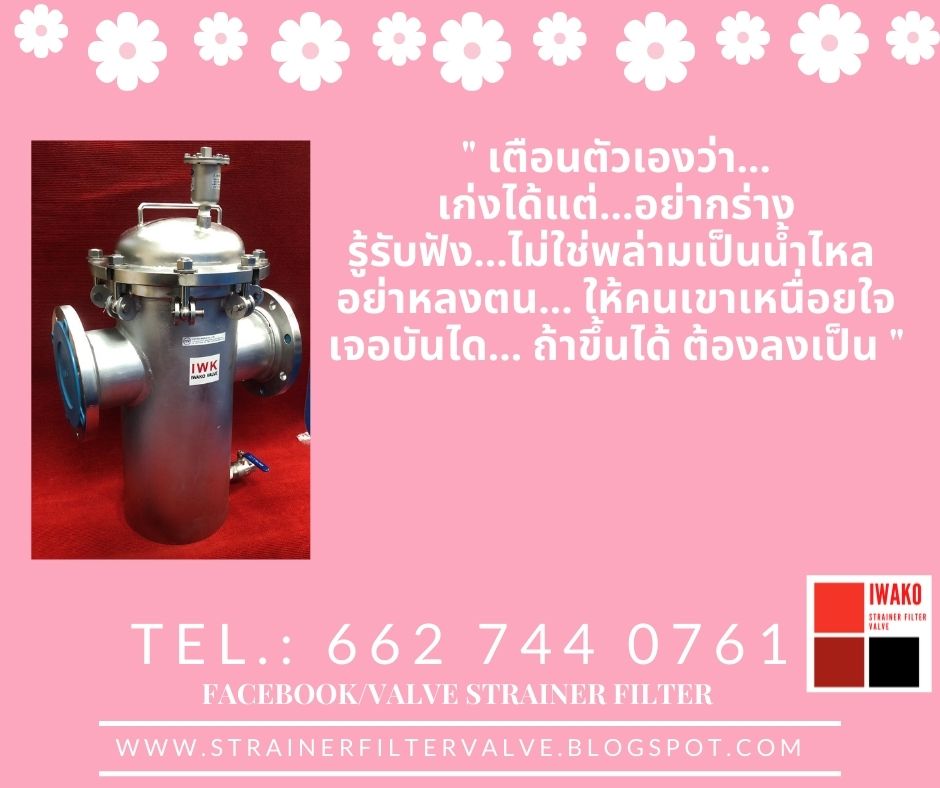 StrainerFiltervalve strainer process engineering