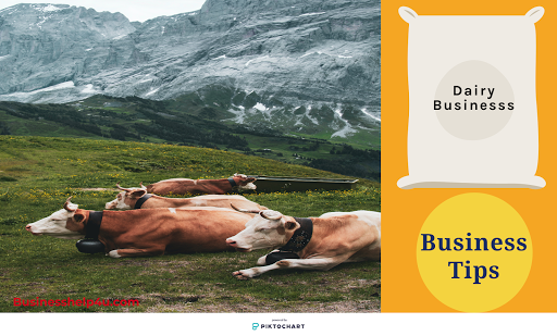 Dairy farming business