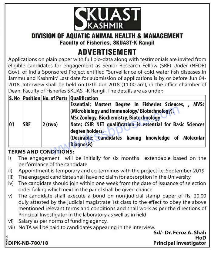 Few jobs in J&K this week Jobs in J&K Government Jobs Jobs in