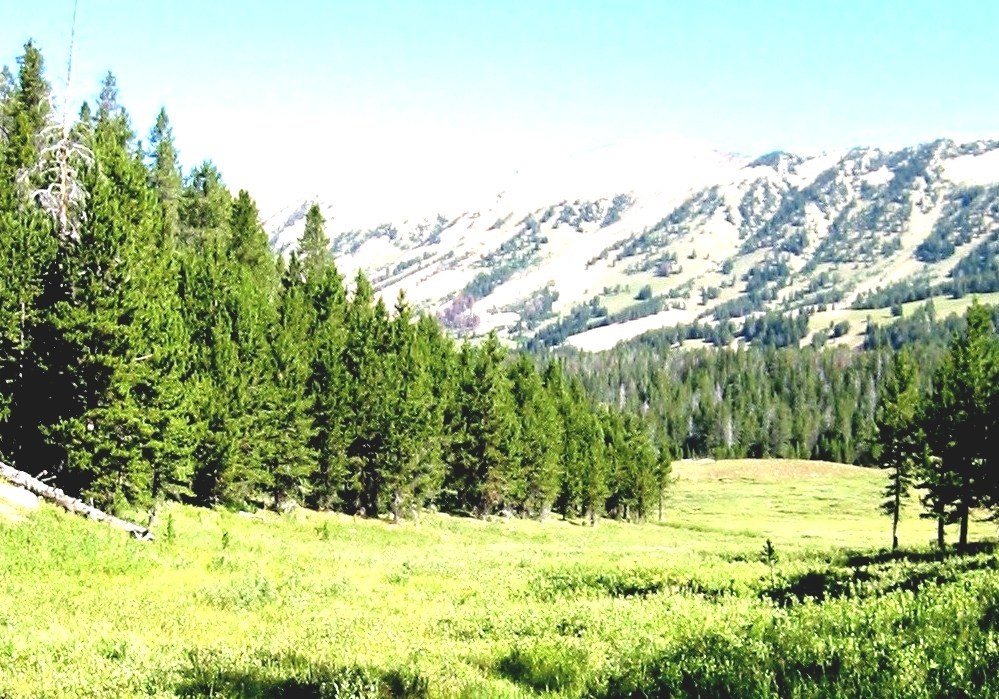 List Of Forests In Montana Montana Forest Service