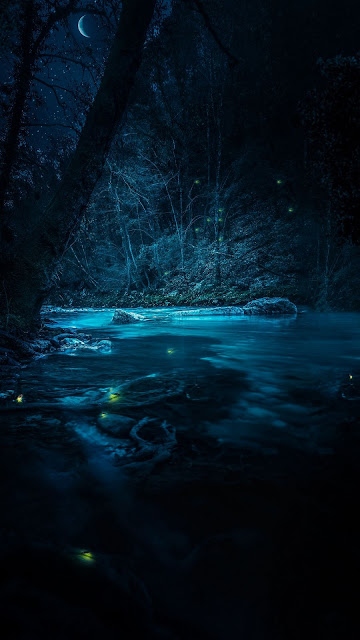 HD Wallpaper Beautiful Night Forest River Moon