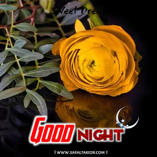 good night rose image