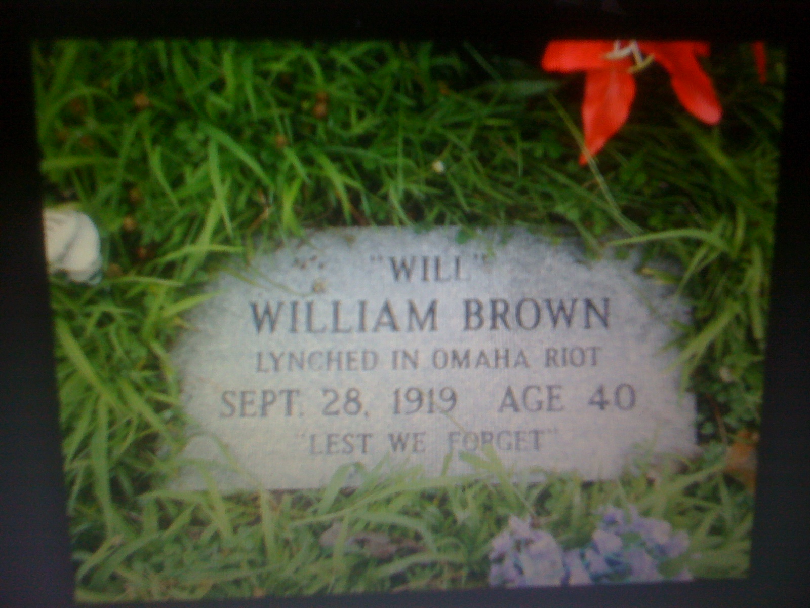 THE BLACK SOCIAL HISTORY BLACK SOCIAL HISTORY THE ELAINE RACE RIOT