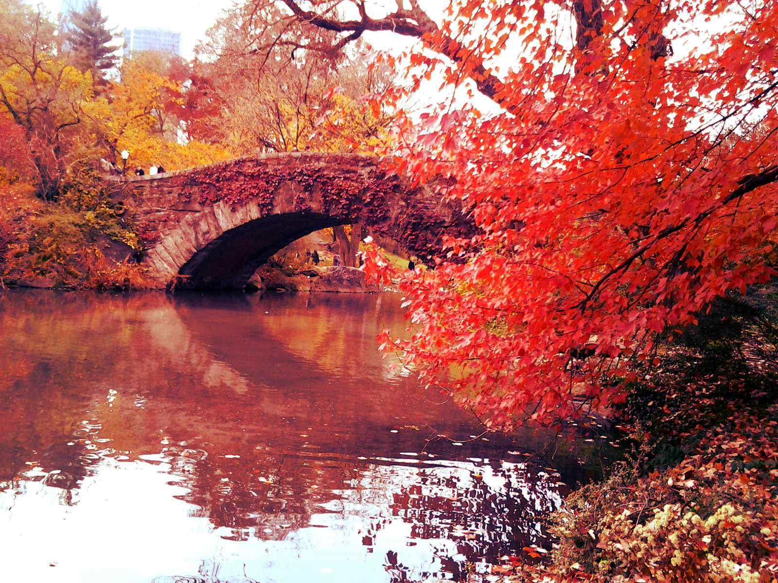 Fall scenes. Осенний мост. Осень мост. Осенний парк. Осенний пейзаж с мостиком.