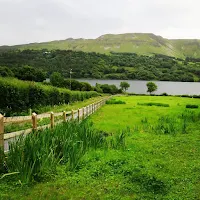 Pictures of Ireland: field in County Sligo