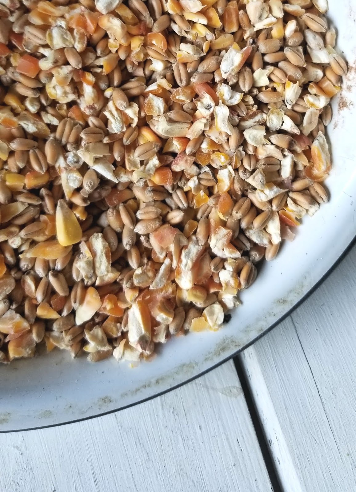 The Ultimate Chicken Scratch Grain Recipe Fresh Eggs Daily® with Lisa