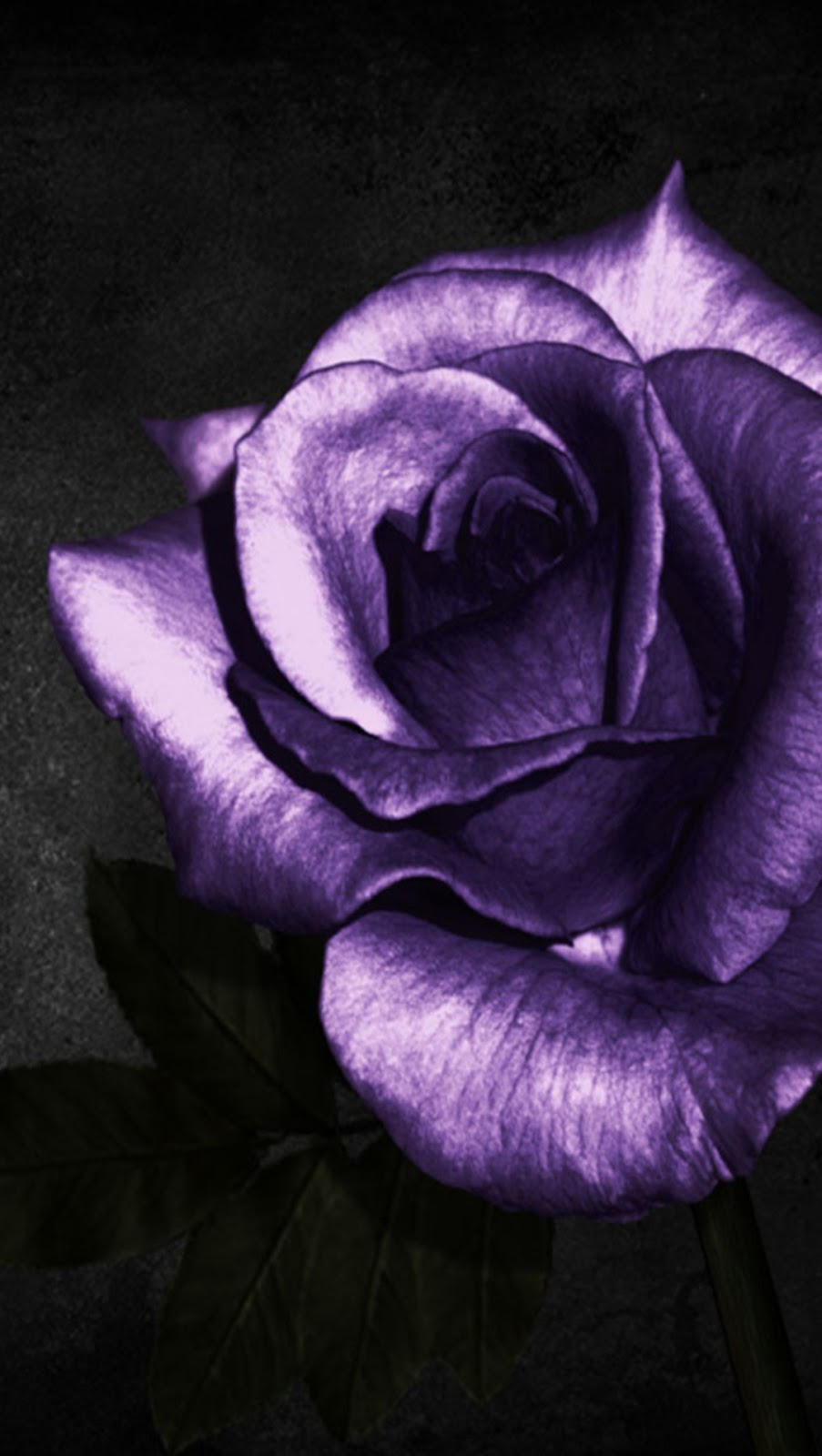 Белое черное фиолетовое. Фиолетовый в интерьере гостиной. Пурпурный. Белое черное фиолетовое. Фиолетово черный цвет.