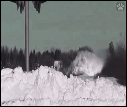Art Cat GIF • When your cat is strong like a snow plow train, destoying snow walls, hahaha! Art Cat GIF • When your cat is strong like a snow plow train, destoying snow walls, hahaha!