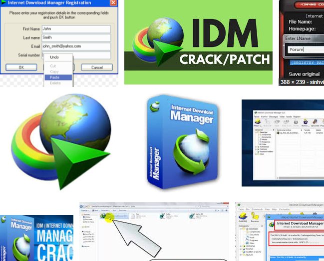 free download internet download manager with serial key for windows 8.1