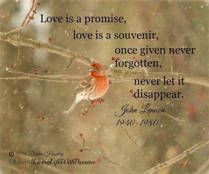 Love is a promise love is a souvenir once given never forgotten never Love is a promise love is a souvenir once given never forgotten never