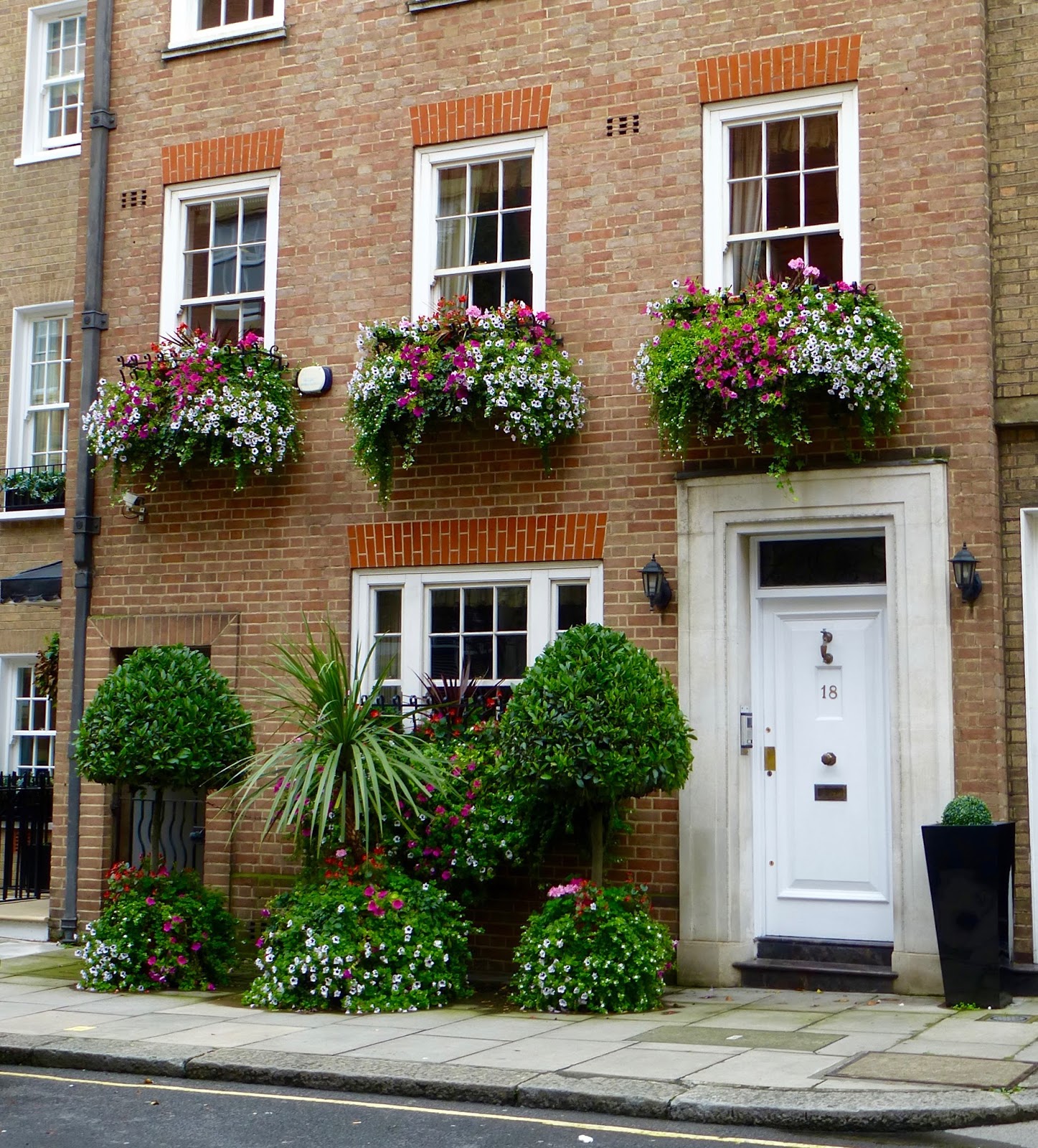 Window boxes of London The Dirt Diaries