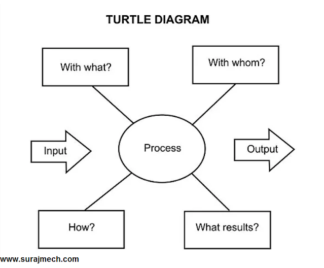 Turtle diagram
