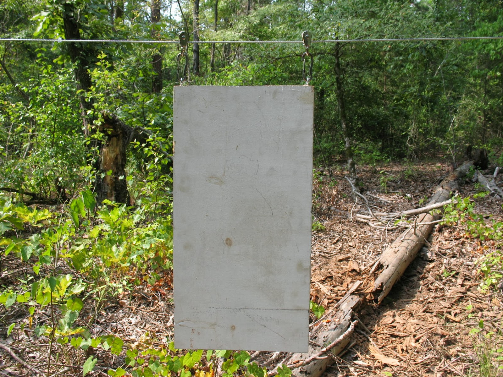 Sensible Survival: Build a Moving Target for Your Shooting Range