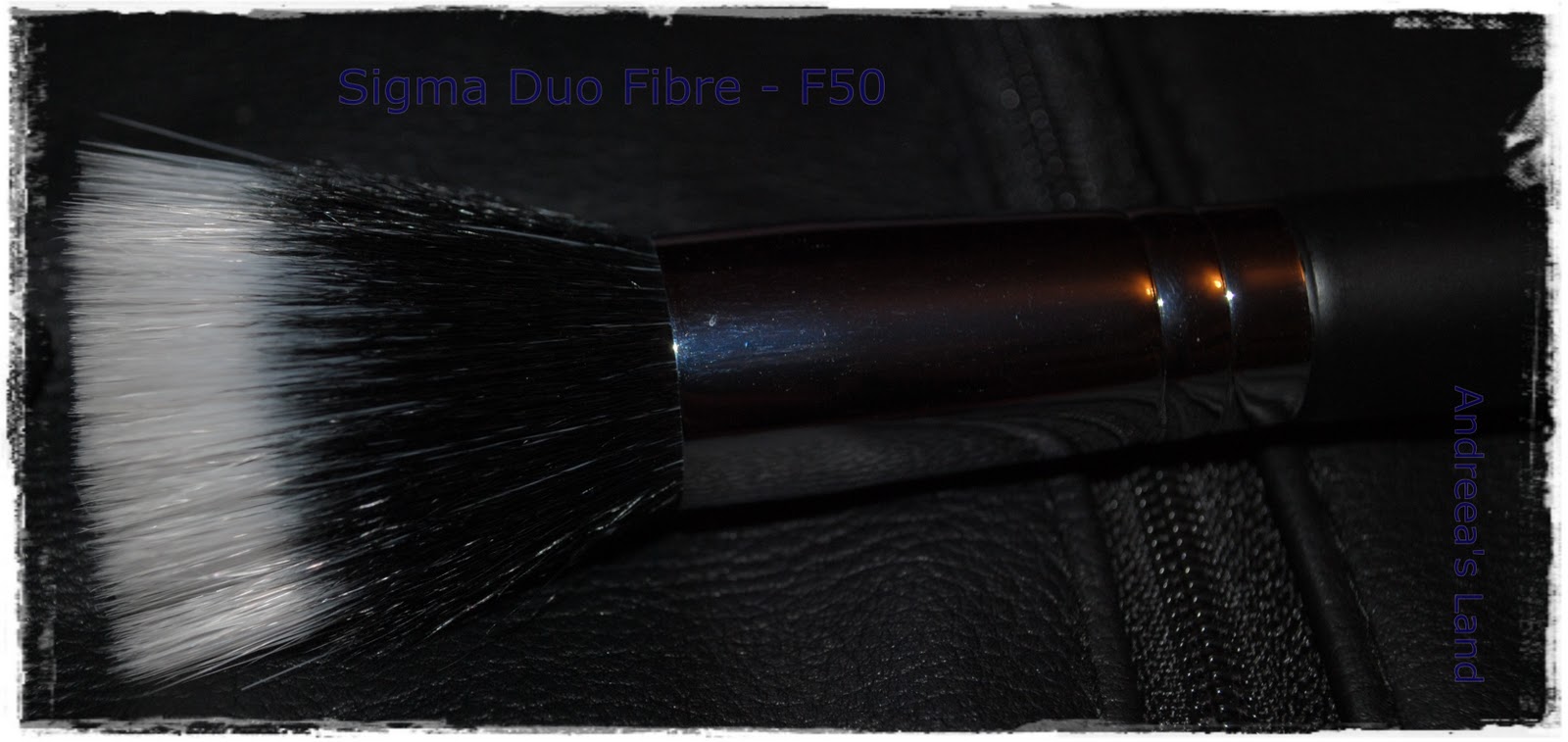 Sigma Brushes & MAC Brushes Andreea's Land ♥