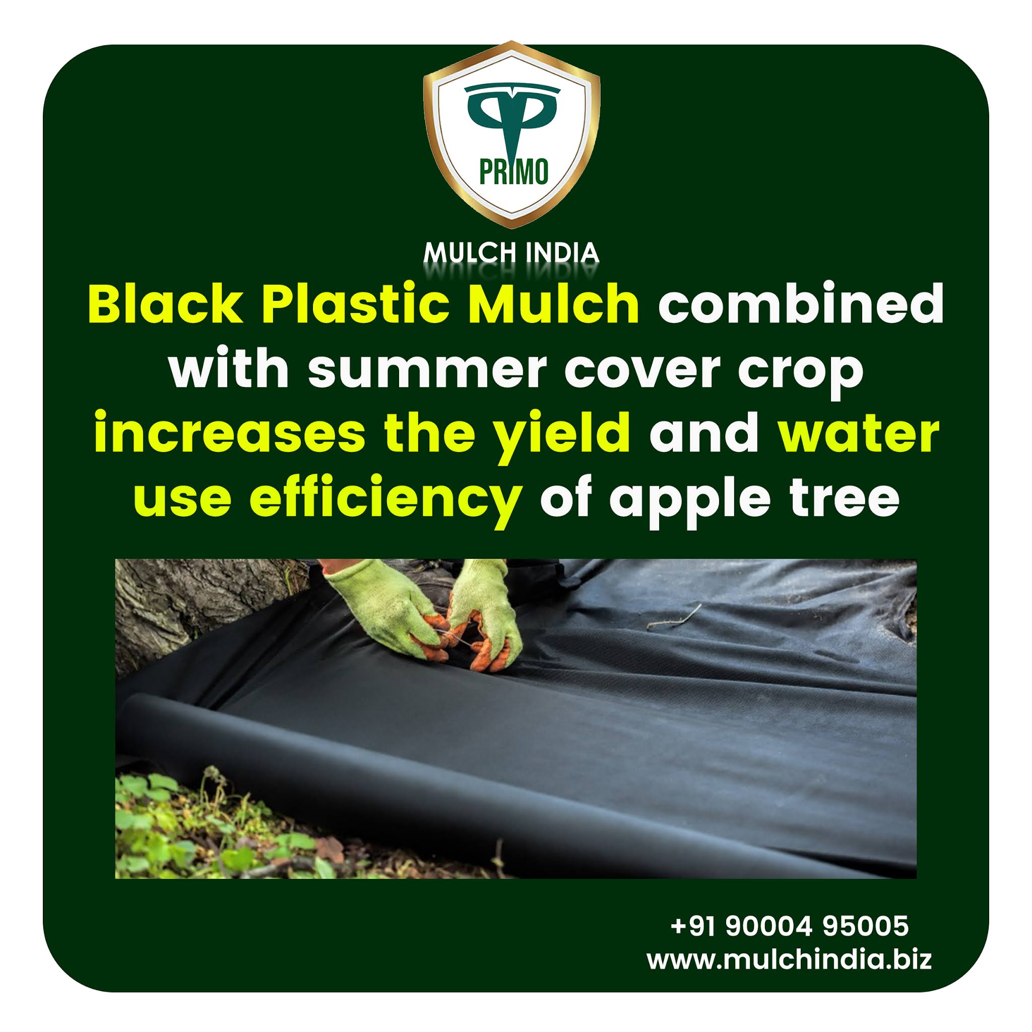 MulchIndia Black Plastic Mulch Mulch India Call+𝟵𝟭 𝟵𝟬𝟬𝟬𝟰𝟵𝟱𝟬𝟬𝟱 www