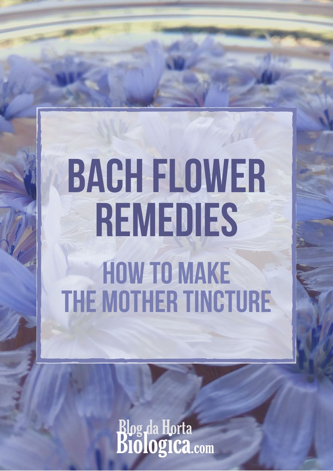 What Is The Mother Tincture?