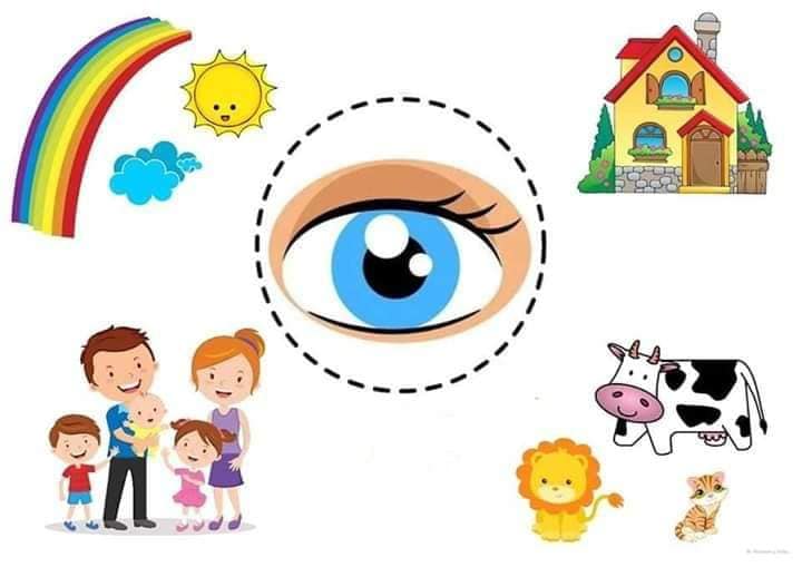 Material Educativo para los Cinco Sentidos | Materiales Educativos para Maestras