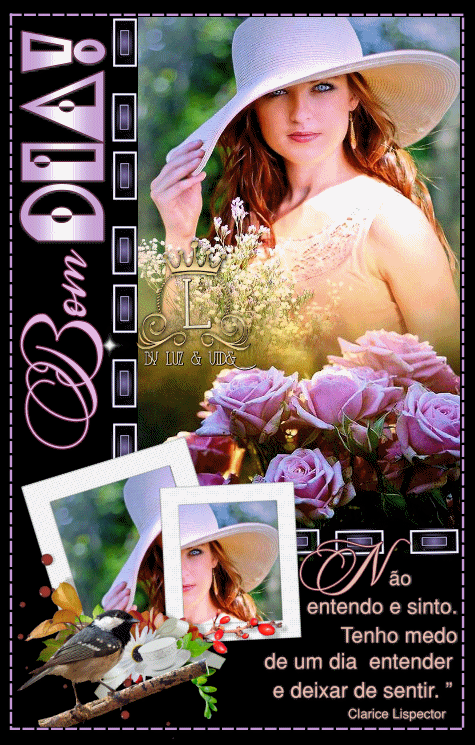 NOVO145%2B%2528MB%2529maryluz.gif