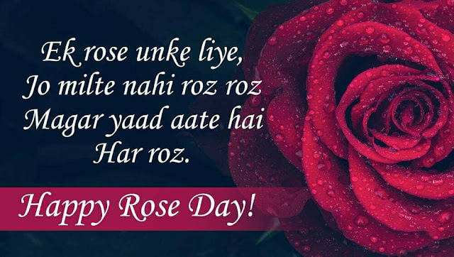 rose day quotes, quotes on rose day, rose day quotes for him, rose day quotes for love, rose day quotes for husband, rose day quotes for boyfriend, rose day unique quotes, rose day quotes for friends, rose day quotes in hindi, rose day quotes for wife, rose day quotes for gf, rose day quotes for girlfriend, rose day quotes for her, rose day quotes images, rose day quotes for lover, quotes on rose day for boyfriend, rose day best quotes, rose day images with quotes for husband, rose day quotes 2019, rose day quotes for my husband, happy rose day quotes 2019, rose day quotes for hubby, quotes on rose day for girlfriend, quotes on rose day for husband, rose day quotes for bf, rose day quotes for long distance relationship, rose day quotes for husband in english, rose day quotes for singles