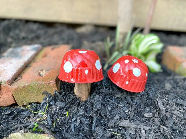 Two red and white garden mushrooms