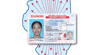 illinois real compliant scanning live secretary state office