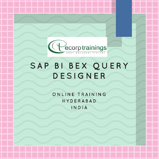 SAP BI BEx Query Designer training