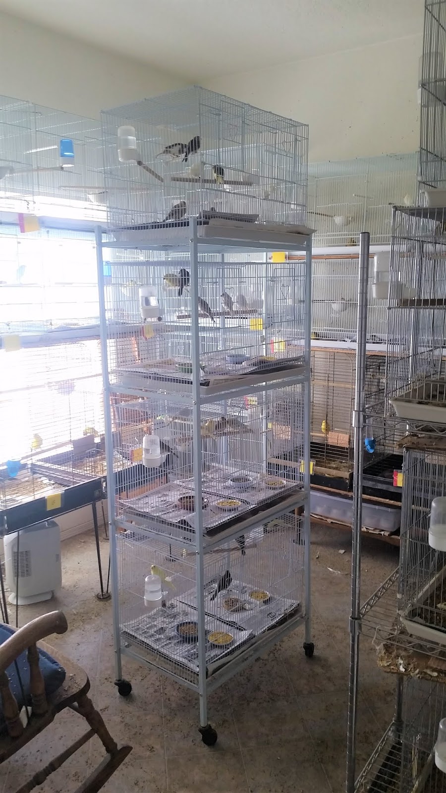 pointer hill cages