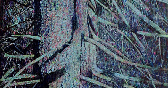 Edith Schumacher Reinhard