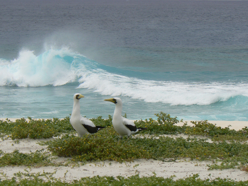 Deserted Places Baker Island A deserted atoll in the Pacific Ocean