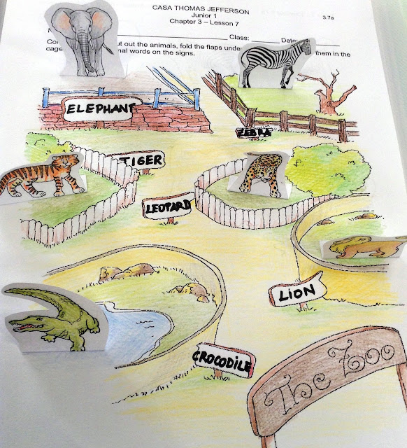 JUNIOR MAGAZINE 1ST 2017 Class J15 What Do Wild Animals Eat?