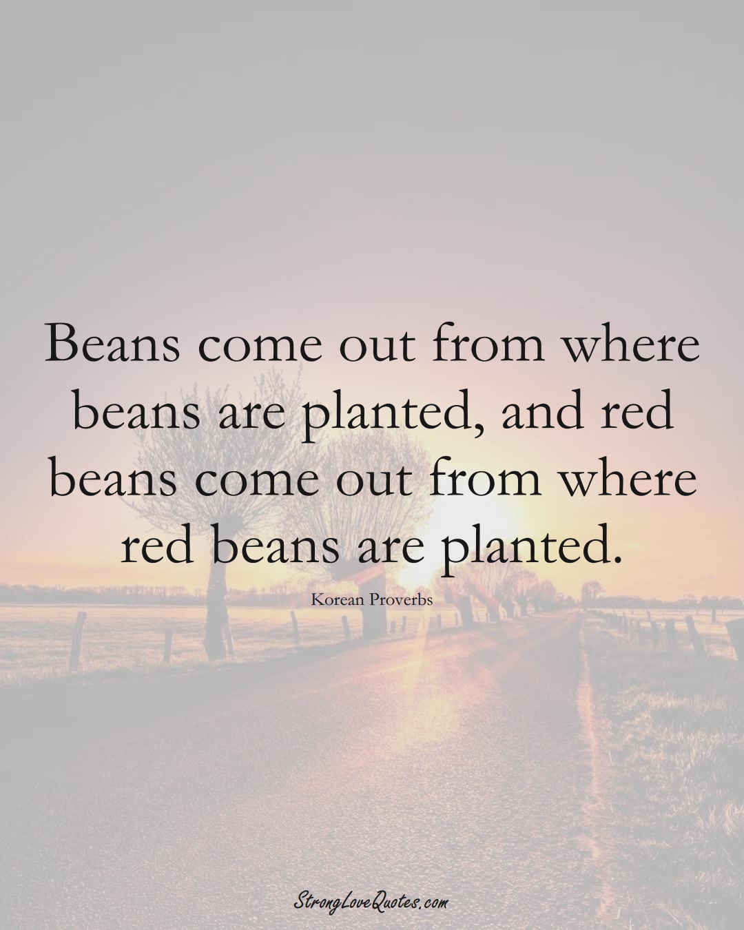 Beans come out from where beans are planted, and red beans come out from where red beans are planted. (Korean Sayings);  #AsianSayings