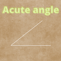 What is Acute Angle in Hindi ( Definition and Examples)