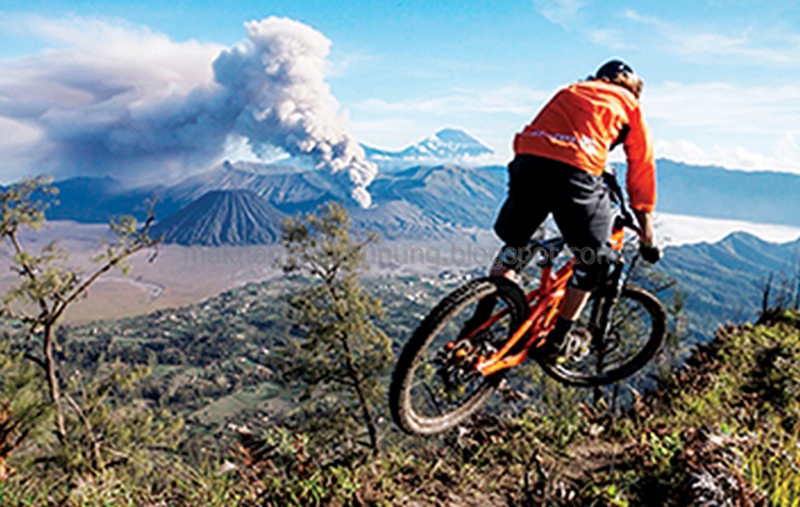 √ Hebat Beli Sepeda Erek Erek Ginger Snap