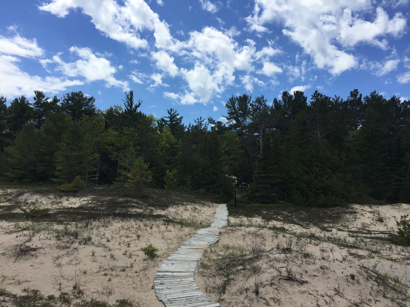 Travel Reviews & Information Rogers City, Michigan / P. H. Hoeft State