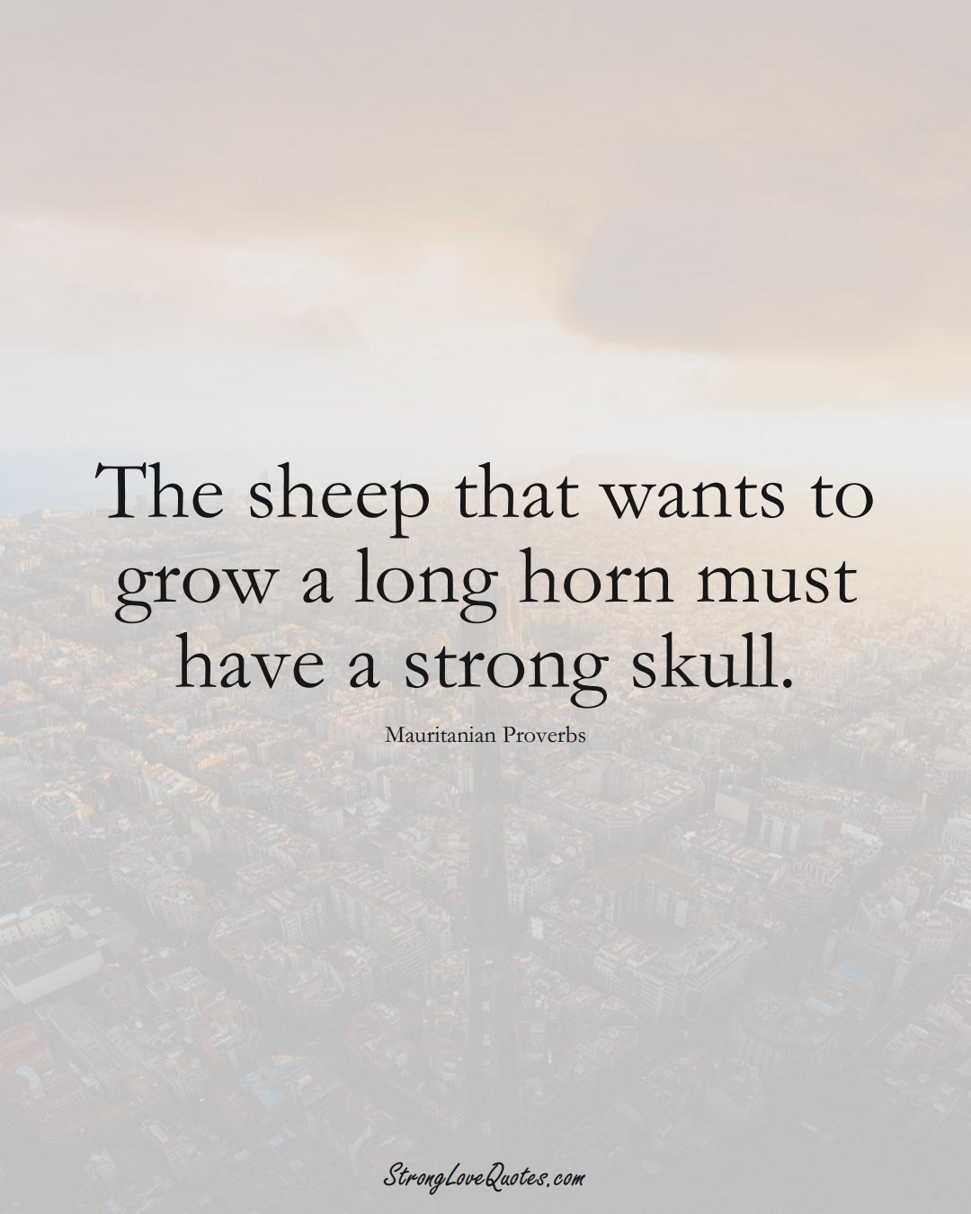 The sheep that wants to grow a long horn must have a strong skull. (Mauritanian Sayings);  #AfricanSayings