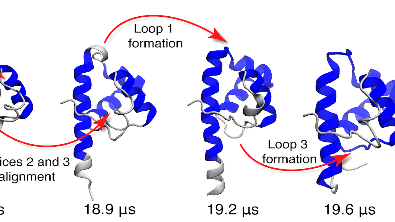 Protein folding Refolding Proteins Protein Choices