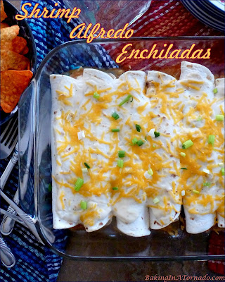 Shrimp Alfredo Enchiladas, spicy, creamy, a family favorite comfort food. | Recipe developed by www.BakingInATornado.com | #reicpe #dinner