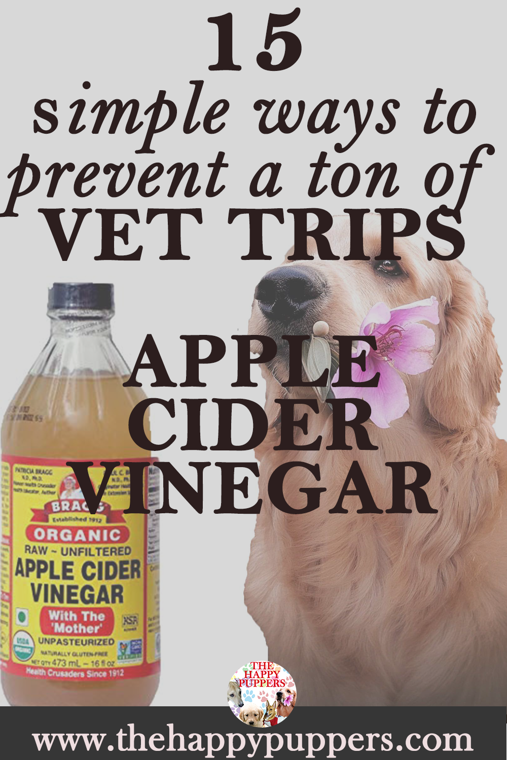 15 unbelievable ways apple cider vinegar (ACV) can help your dog The