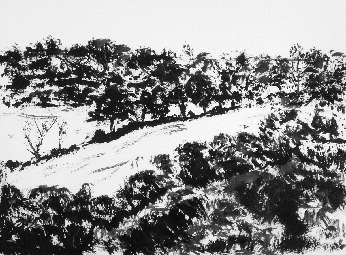 Learning to draw Learning to see Drawing and Painting the Landscape