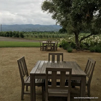 picnic area at Séka Hills Olive Mill and Tasting Room in Brooks, in the Capay Valley of California