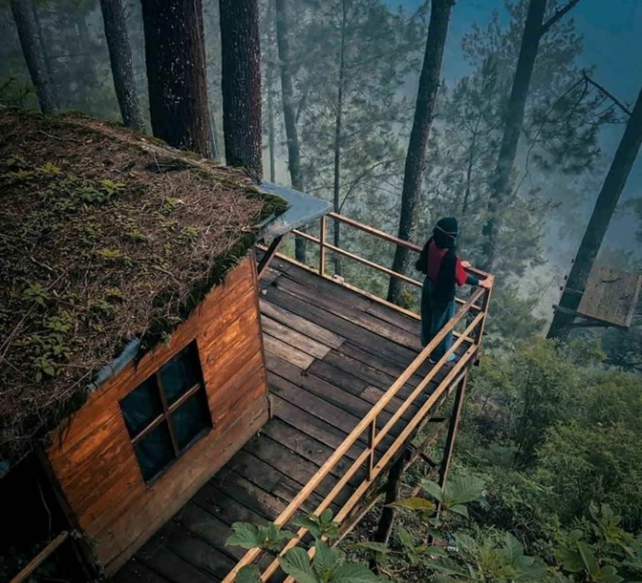 tempat wisata omah kayu di jawa timur