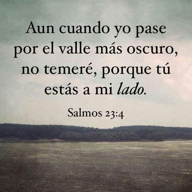 Salmo 23 4 Frases De La Biblia