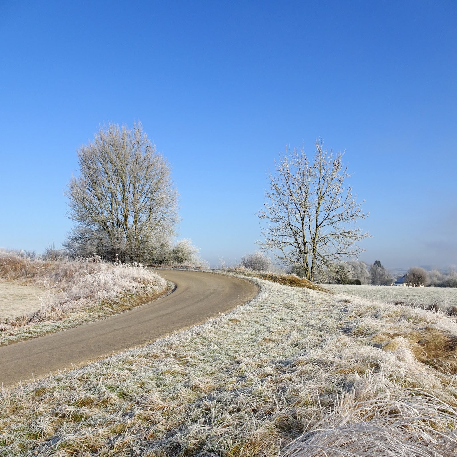 The estetic of senses!: Faits d'hiver