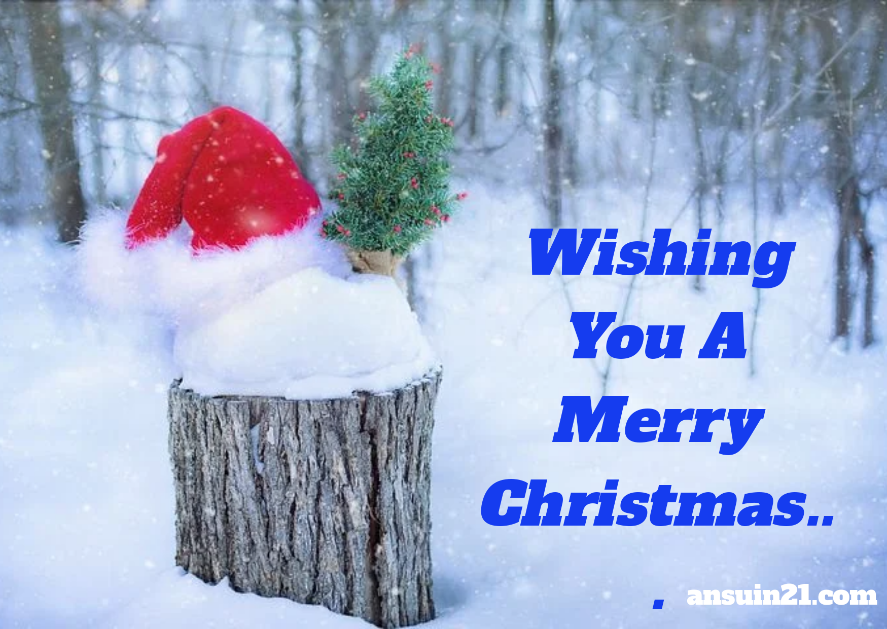 Merry Christmas Wishes, Images, Status, Quotes, HD Wallpaper Merry Christmas Wishes, Images, Status, Quotes, HD Wallpaper